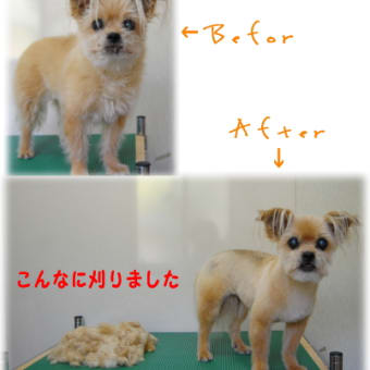やっと・・・