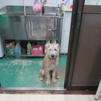 1週間のお仕事が無事終了致しました～！！