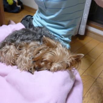 大船に乗った気持ち