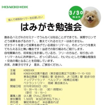 トリマーの為の勉強会「はみがき勉強会」参加者募集♪