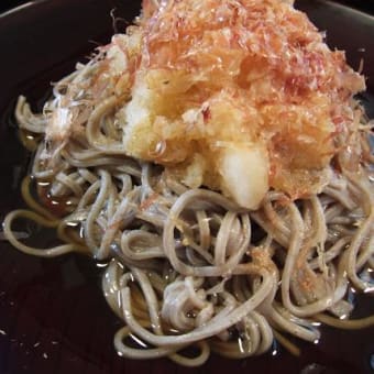 思い出の器で～おろしそば～
