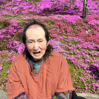 外出レク　～芝桜～