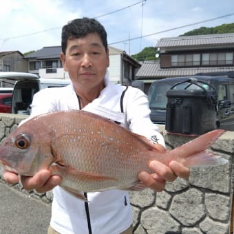 夏チヌパターンも見受けられました