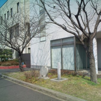 情けないなぁ～