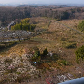 彼岸・3/18