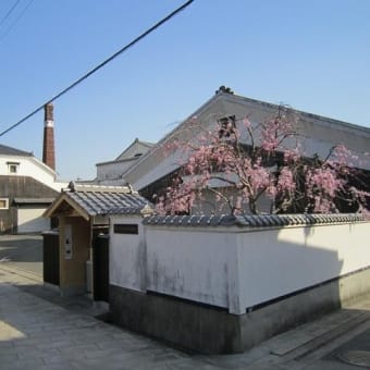 龍野公園と龍野城の桜を楽しむ