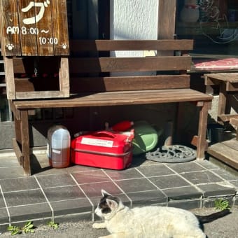 春の旅行（３）草津から東京へ、温泉猫に出会う。