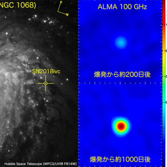 M77銀河　超新星2018ivc　電波再増光が示す連星進化の道筋