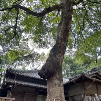 氷川女體神社