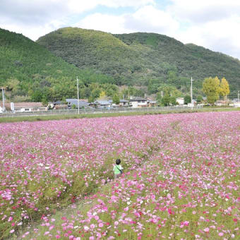 その１３