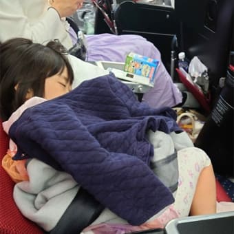 4歳娘とシンガポール旅行⑥　高島屋からの帰国