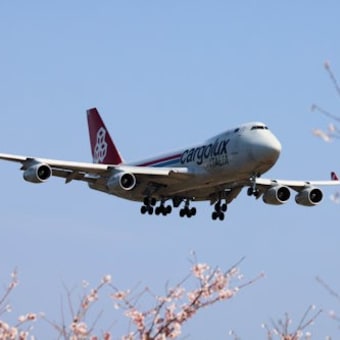 おっさんの一人旅？桜とあれを撮りに