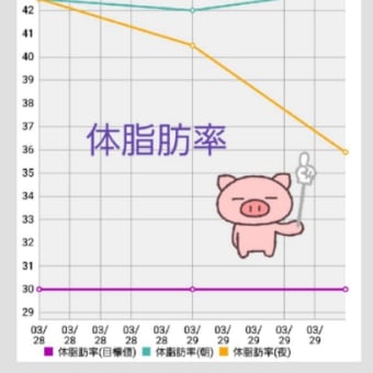 3/30 ダイエット結果