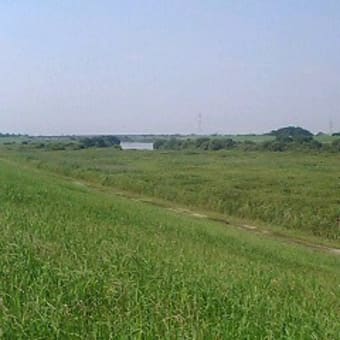 幸手 の とある風景