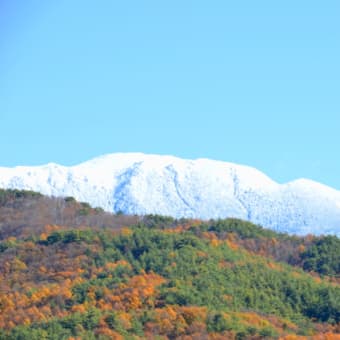 快晴・冠雪・紅葉の八ヶ岳山麓をコーヒー配達に走る。