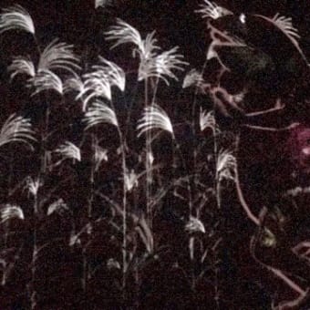 TeamLab〜Part1〜(2019年12月)