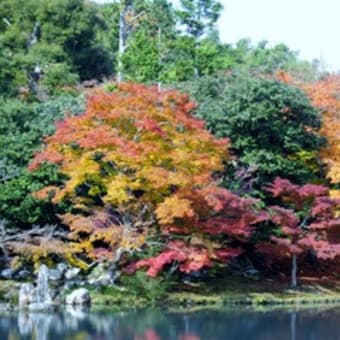 香嵐渓＆京都紅葉紀行－８　嵐山もみじ舟編