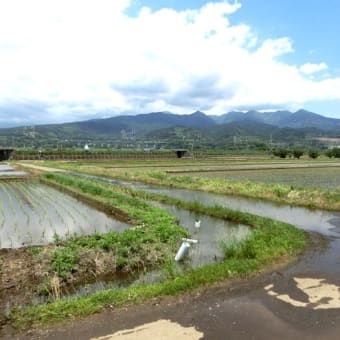 静岡県 in ドクターイエロー　１