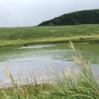 草千里園地