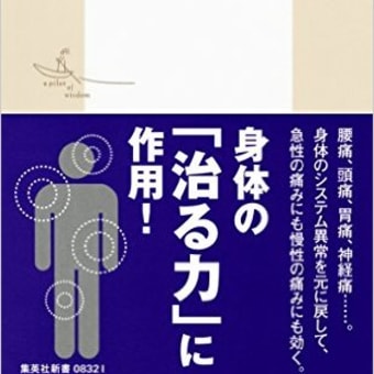 西洋医学が解明した「痛み」が治せる漢方（井齋偉矢著）