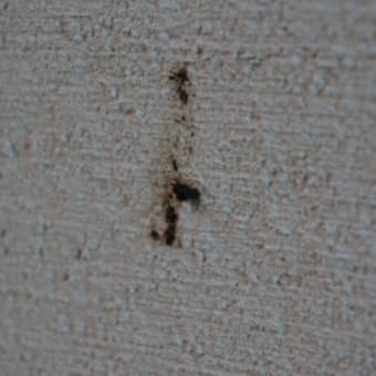 画像一覧 木の家は気持ちいい