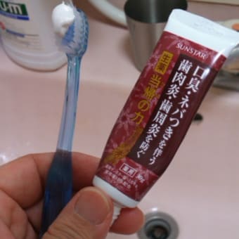 生薬「当帰の力」