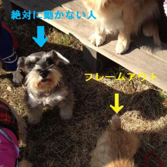 フレームアウトする奴
