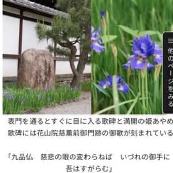 秋篠宮家の不都合な公務は報道せずフェードアウトか❶ 本来皇位継承に無関係な傍系が皇嗣となった歪み
