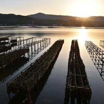 呉基地の満艦飾！などなど、、、（その２）
