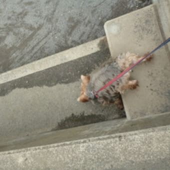 あと少し勇気があれば