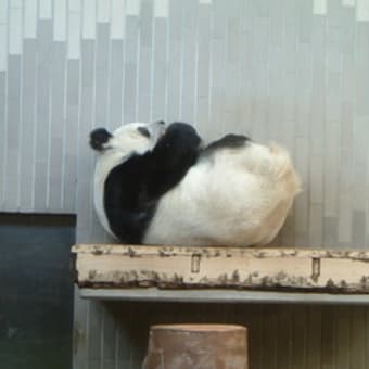 上野動物園。