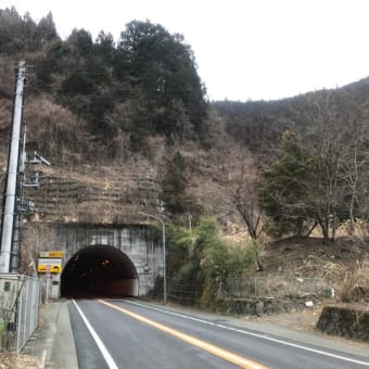 都民の森(22回目)～鶴峠～甲武トンネル