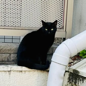 小さきものの命こそ