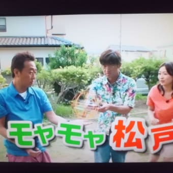 隅田川の花火大会でニアミスだったでつなぁ～　関西弁好きなのかなぁ～