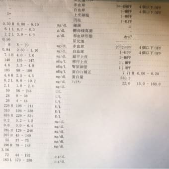 ボチボチ良好？。