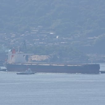 毎度のエリアですが、海から山へウロウロドライブ、、、（午前の部）