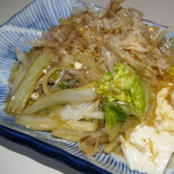 白菜と豆腐のおかか煮（FEB.19.2009）