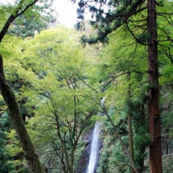 養老の滝
