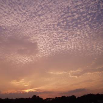 8月26日の雲がきれいだったので・・・３