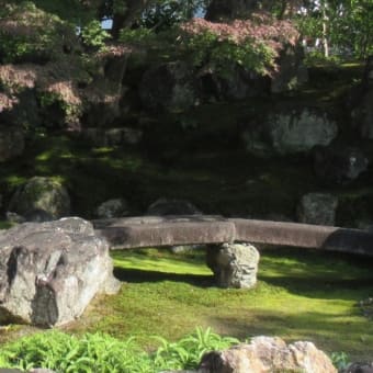 高台寺圓徳院　庭園内小橋　　京都市東山区