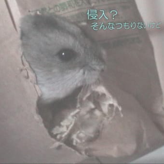 「警察が店に踏み込まれた」って？