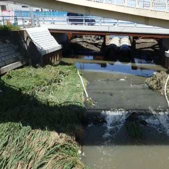 橋なくて円管の中水流れ／上流護岸ほぼ出来た？（新河岸川・新琵琶橋）