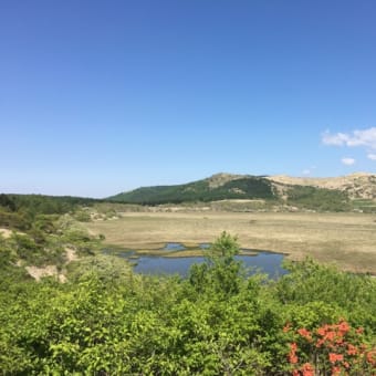 八島ヶ原湿原