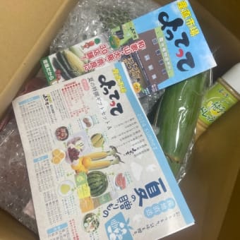 夏の贈り物