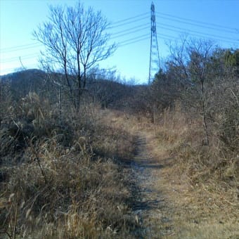 林道諦め河原を走ることに・・・