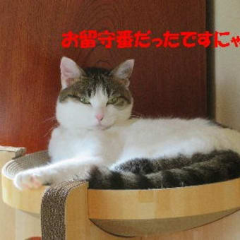 お山のカフェへ♪