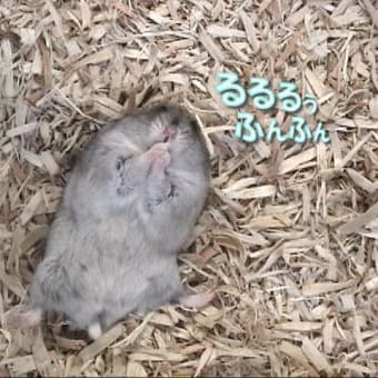 「ストレスと抱えやすい死亡率が」って？