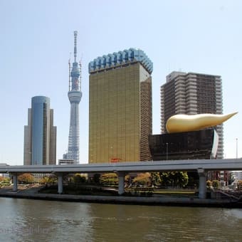 春の日差しに誘われて
