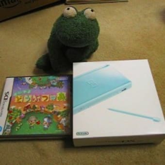 来ました！