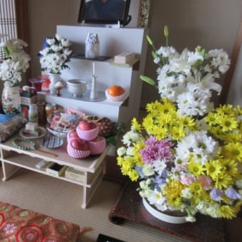 桜、桜の、こんな「さくらもち」… - やまんばの庭 桜、桜の、こんな「さくらもち」… - やまんばの庭